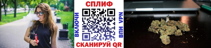 Бошки Шишки семена  дарнет шоп  Комсомольск 